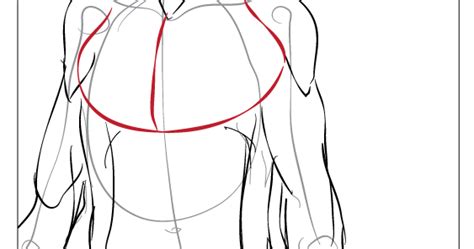 But this is a big one, right here is just the way it kind of spends and overlaps into this area. Paint Draw Paint, Learn to Draw: Anatomy Basics: The chest ...