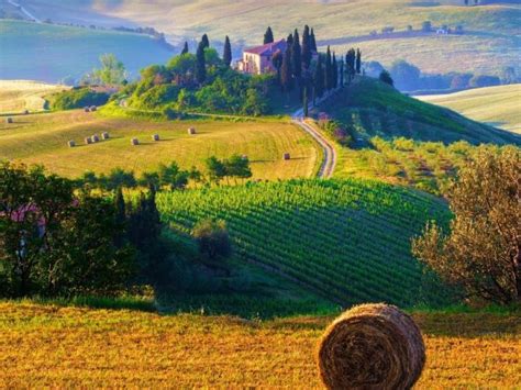 Farmers Fields In Italy Places To Travel Places To Visit Beautiful