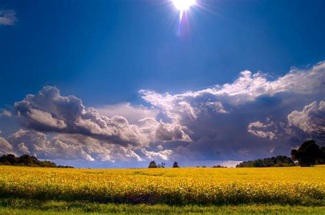 Sunshine On A Cloudy Day By Cara Moulds Ipad Wallpaper Landscape