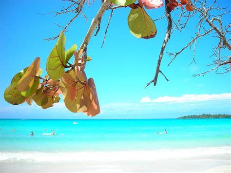 🔥 [45+] Wallpapers and Screensavers Jamaica Beaches | WallpaperSafari
