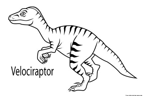 Toronto raptors kids tees are at the official online store of the nba. Printable velociraptor dinosaur coloring book pages for ...