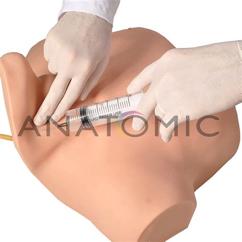 Simulador De Cateterismo Venoso Central Anatomic Tgd B Anatomic