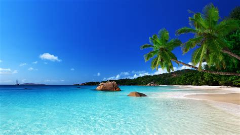 Tropical Paradise Beach Ocean Sea Palm Summer Coast Wallpaper