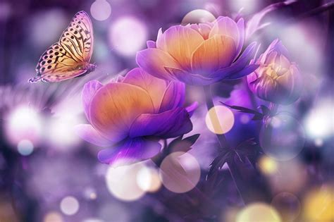 Download Most Beautiful Desktop Butterfly And Flower Wallpaper