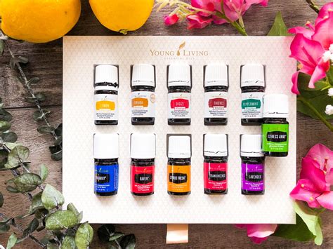 Young Living Essential Oils~Get Healthy with a Premium Starter Kit ...