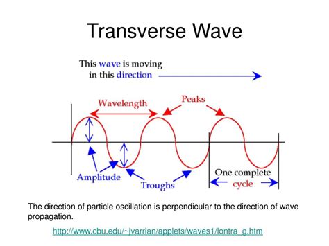 Diagram Of Transverse Wave