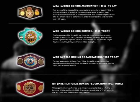 The Different Boxing Title Belts Explained Sidekick Boxing