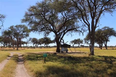 Moremi game reserve vacation packages. Magotho Campsite - Moremi Game Reserve | Selfdrive4x4.com