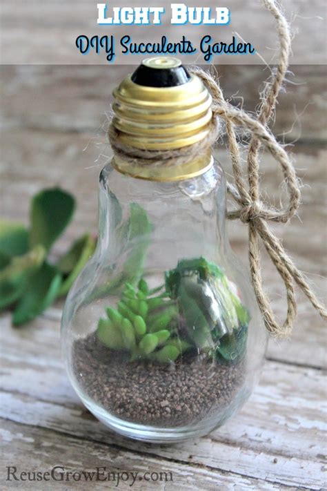 Mini Light Bulb Diy Succulents Garden Directions For Both Using A