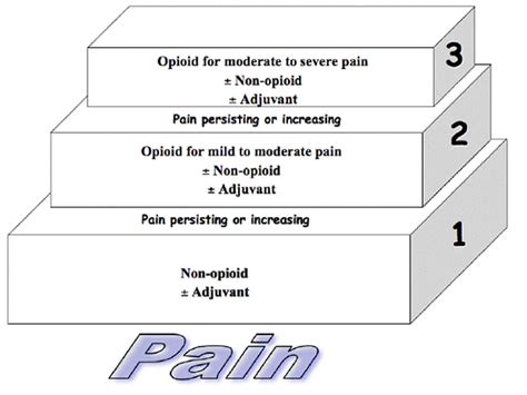 Neuropathic Pain Who Neuropathic Pain Ladder
