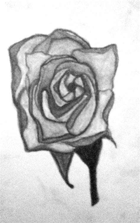 Rose Pencil Drawing By Froggyartdesigns On Deviantart