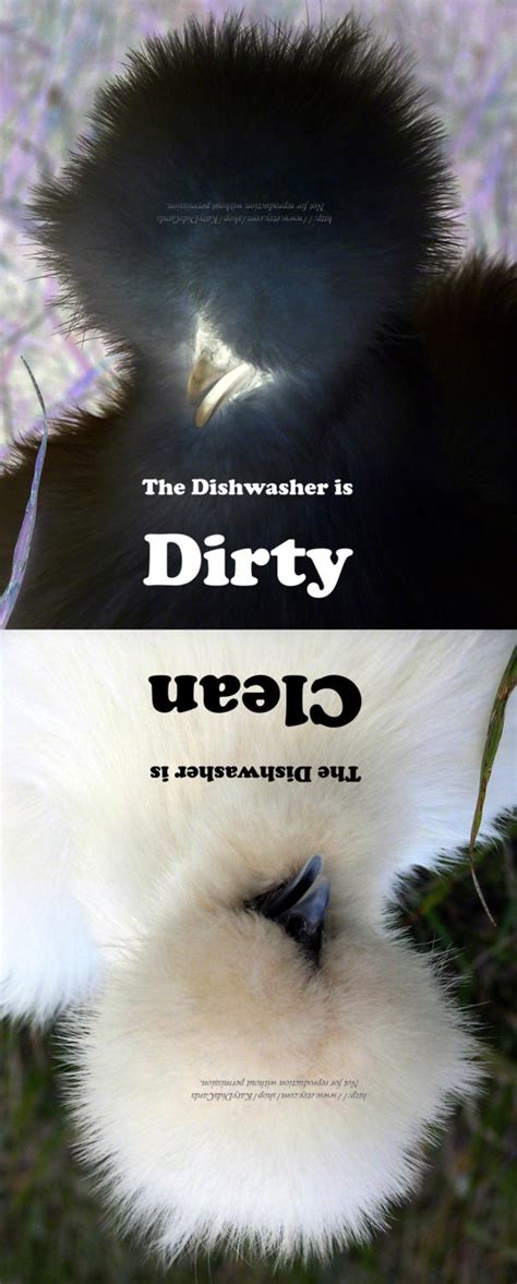 Clean Dirty Dishwasher Magnet Silkie Chicken Poofy Hair Etsy