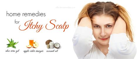 Top 19 Natural And Effective Home Remedies For Itchy Scalp In Summer