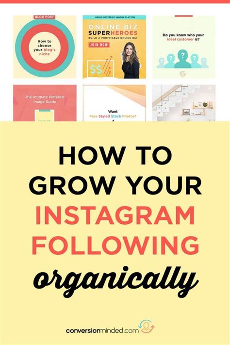 How To Grow Your Instagram Followers Organically Instagram Marketing