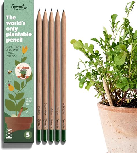 Sprout Pencils Kitchen Edition Graphite Plantable Pencils With Herb