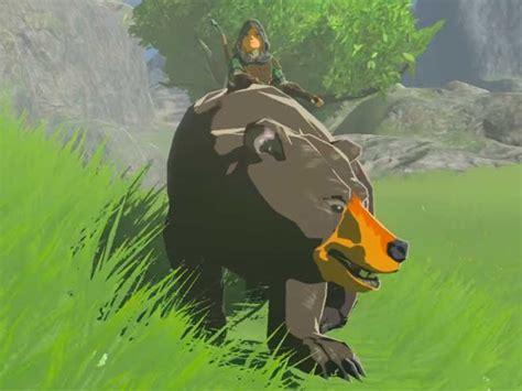 You Can In Fact Ride Several Different Types Of Animals In Breath Of