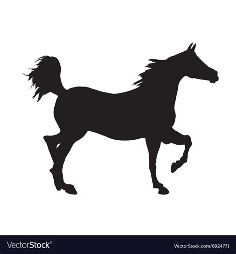 Horse Icon Royalty Free Vector Image Vectorstock