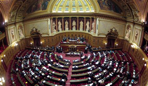 Bienvenue sur le compte officiel du sénat français. Cumul des mandats. Panique au Sénat