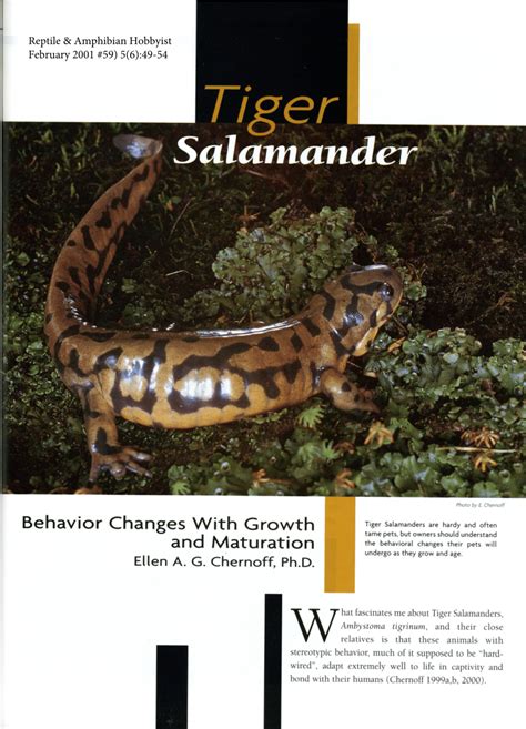 PDF Tiger Salamander Behavior Changes With Growth And Maturation