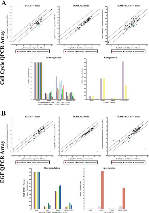 Q Pcr Array A Human Qpcr Arrays For Cell Cycle Related Gene Were