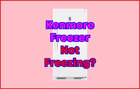 Kenmore Freezer Not Freezing Best Fixing Guide