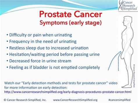 Prostate Cancer Symptoms Part 1 Early Stage Cancer Prostate Cancer