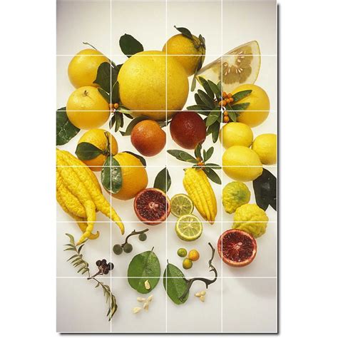 Ceramic Tile Mural Fruits Vegetables Photo Custom Tile Mural 25 48 W