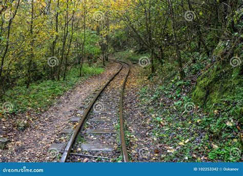 Railroad Tracks Cut Through Autumn Woods Stock Photo Image Of Path