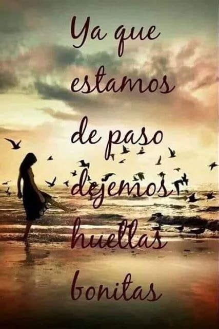 El tiempo es el mejor asesino de sentimientos esta es una de las frases más cierta que existen, el tiempo espero que las frases de amor para whatsapp que leíste en este post te sean de gran ayuda para actualizar tu estado en esta red social o para reflexionar. 100 frases de reflexión cortas + Imágenes | Frases de hoy, Frases para whatsapp, Frases bonitas