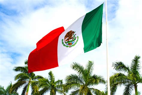 These display as a single emoji on supported platforms. Mexico's Payment Restrictions Now Cover Bitcoin