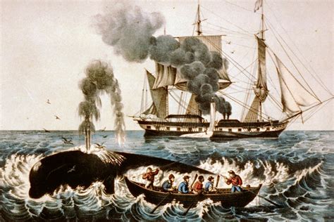 The Diverse Whaling Crews Of Melville S Era JSTOR Daily