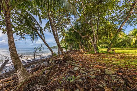 Private Beachfront Paradise in Uvita, Costa Rica