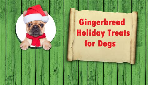 We are dedicated to making premium dog and cat foods with the world's best ingredients. Gingerbread Holiday Treats for Dogs | Gingerbread holiday ...