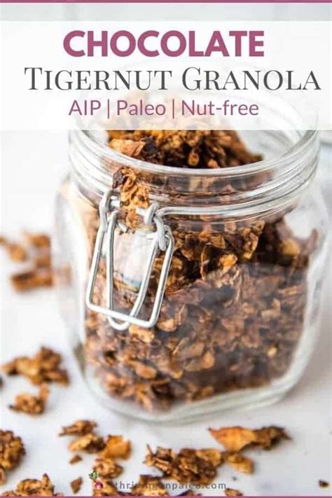 Chocolate Tigernut Granola Paleo Aip Nut Free Recipe Autoimmune