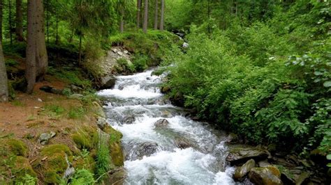 Relaxing River Sounds Of Stream Flowing Through Mountains For Sleep And