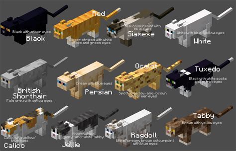 Names And Colours For All The Cats What Should I Do Next Minecraft