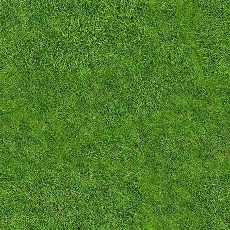 Landscape Grass Texture Photoshop Boekennieuws