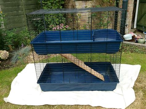 Large Indoor Guinea Pig Cage In Felixstowe Suffolk