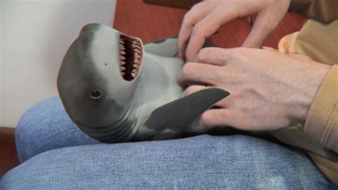 Zé do facão — baby shark 02:04. Surprised Baby Shark - YouTube