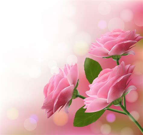 Arti Bunga Mawar Pink Muda Png