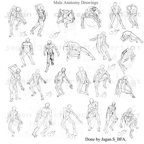 The sketch itself must have taken over 4 hours to complete. jagan 3d character artist: Human Anatomy Drawings(Medium ...