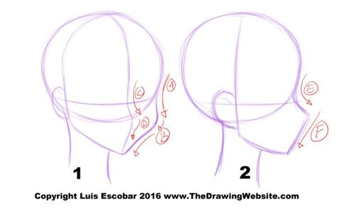How To Draw The Head And Shoulders Of A Woman