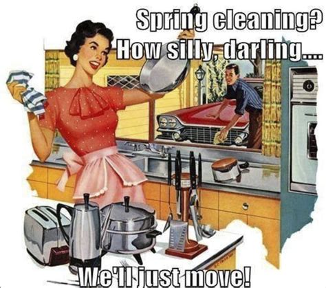 These Cleaning Memes Are Perfect For Spring Cleaning Due To Excessive