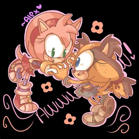 Amy And Sticks Sonic Boom Sonic Sonic The Hedgehog