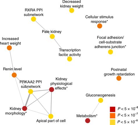 Top Gene Sets Prioritized From Egfr Meta Analysis Depict Analysis Of