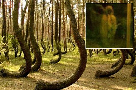 Missing People Ufos And Ghosts Is This The Creepiest Forest In The