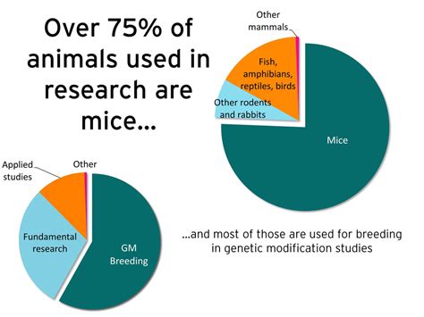 Response To Animal Testing Controversial Topics