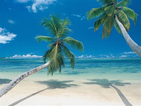 Novica, the impact marketplace, features a unique mexican strand collection handcrafted by talented artisans worldwide. The Best Surfing Beaches in Mexico - TEAM SURF PERU