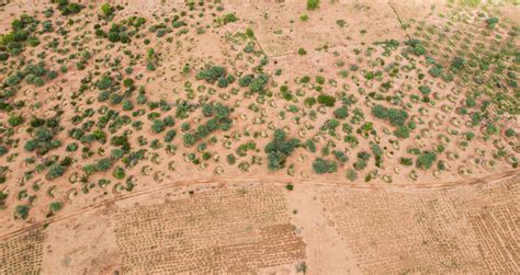 Scaling The Great Green Wall Independent Evaluation Group