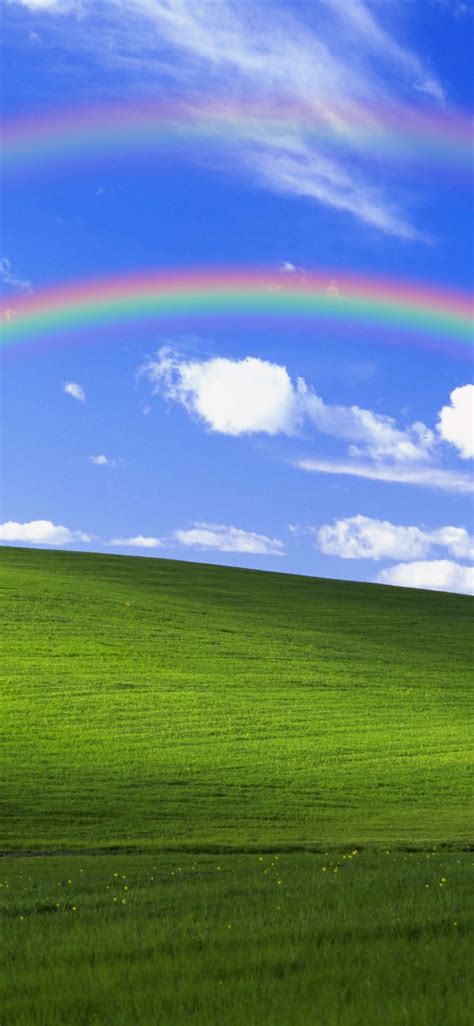 Rainbow Bliss By Michael Gillett Wallpapers Wallpaperhub
